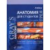 Анатомия Грея для студентов: Учебник для студентов мед. ВУЗов. 3-е изд Анатомия Грея для студентов: Учебник для студентов мед. ВУЗов. 3-е изд