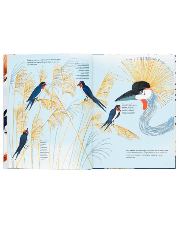 Тысяча и одна птица