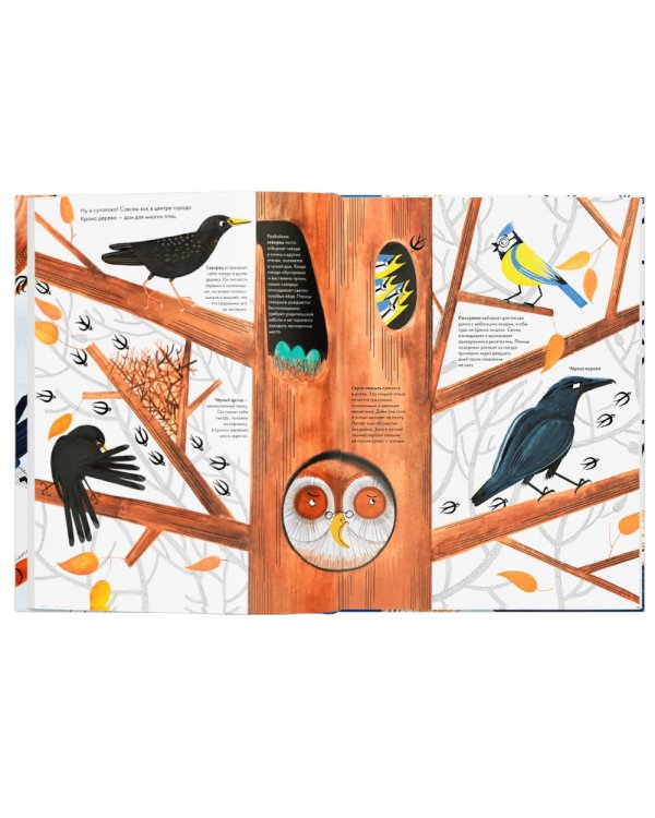 Тысяча и одна птица