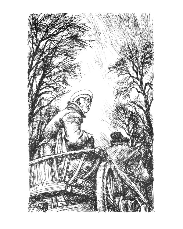 Лошадиная фамилия: рассказы и водевили