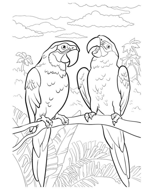 Мегараскраска. Животные