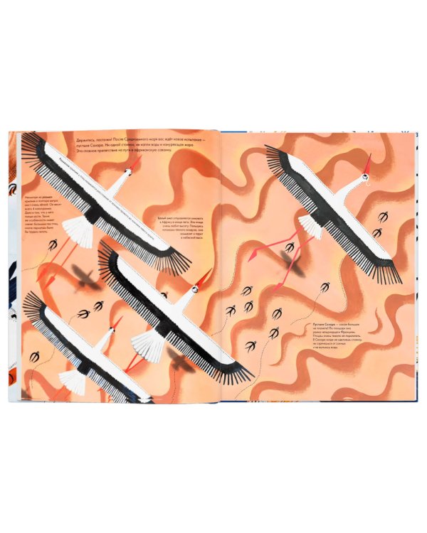 Тысяча и одна птица