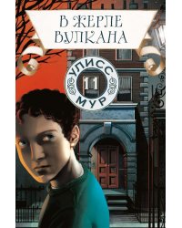 В жерле вулкана. Кн. 11