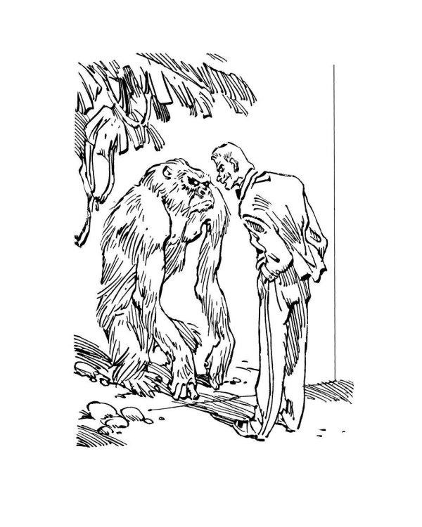 Рэсси-неуловимый друг: фантастическая повесть