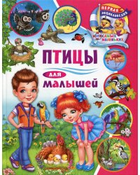 Птицы для малышей
