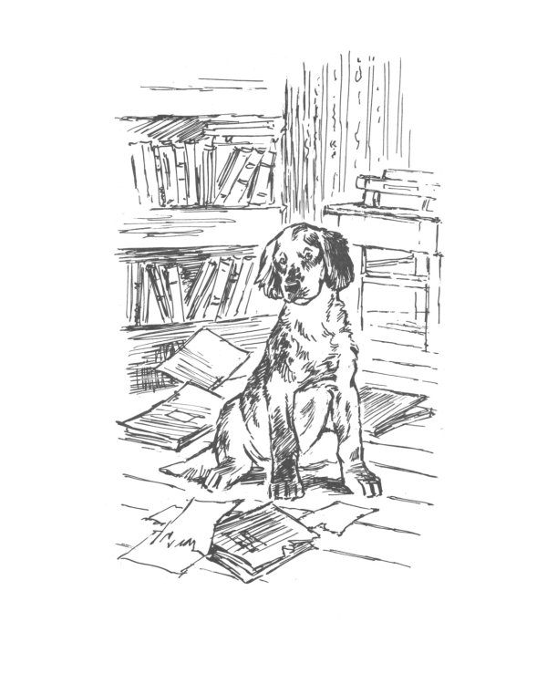 Белый Бим Черное ухо: повесть