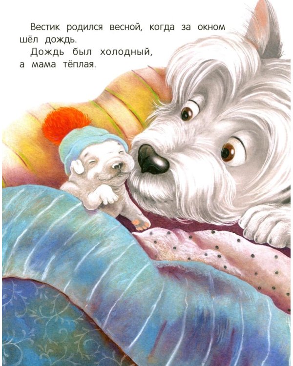 Вестик и любовь мамы