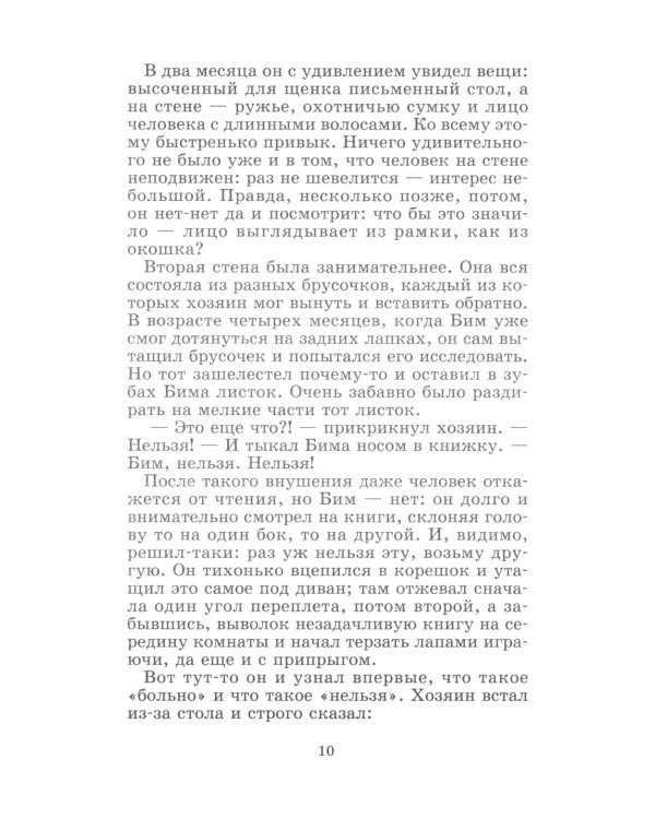 Белый Бим Черное ухо: повесть