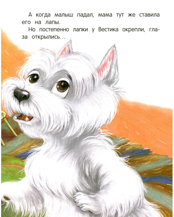 Вестик и любовь мамы