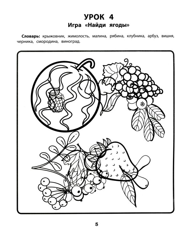 Запутанные картинки. Коррекция оптической дисграфии: рабочая нейротетрадь для дошкольников. 4-е изд