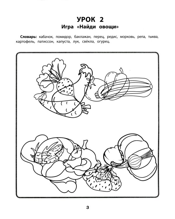 Запутанные картинки. Коррекция оптической дисграфии: рабочая нейротетрадь для дошкольников. 4-е изд