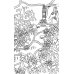 Вальдомбра: огни Монтебуйо