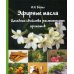 Эфирные масла. Целебные свойства растительных ароматов Эфирные масла. Целебные свойства растительных ароматов