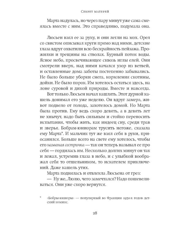 Дополнительное изображение книги «Секрет матерей: роман»