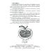 Анатомия органов мочеполовой системы: Учебное пособие. 13-е изд., перераб. и доп