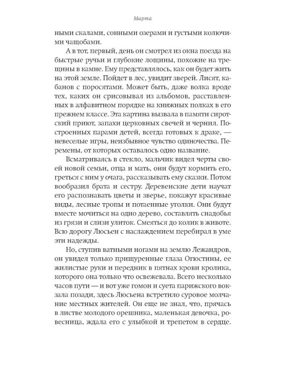 Дополнительное изображение книги «Секрет матерей: роман»