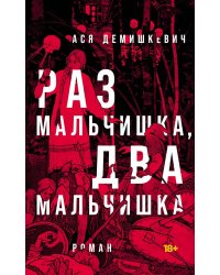 Раз мальчишка, два мальчишка: роман