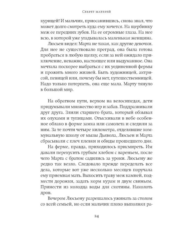 Дополнительное изображение книги «Секрет матерей: роман»