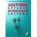 Анатомия органов мочеполовой системы: Учебное пособие. 13-е изд., перераб. и доп