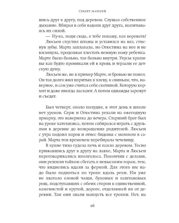 Дополнительное изображение книги «Секрет матерей: роман»