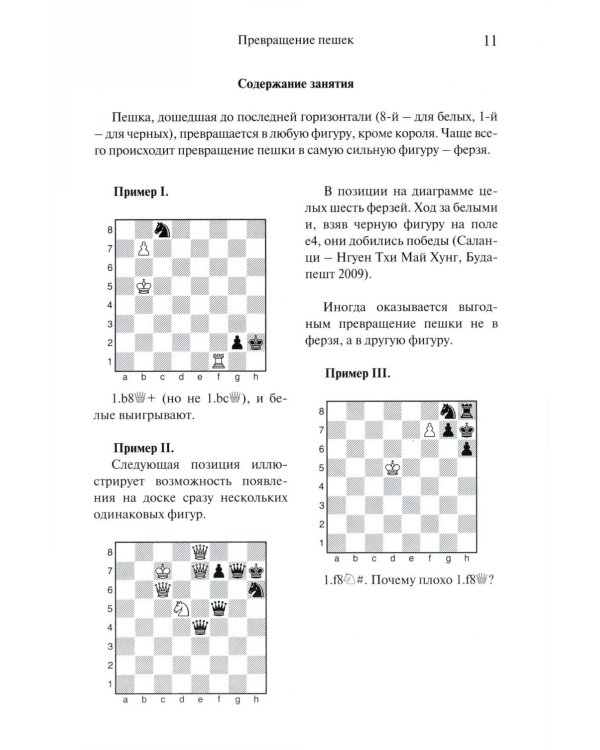 Программа подготовки шахматистов юношеских и 3 взрослого разрядов. Общая редакция многократного чемпиона мира А.Карпова