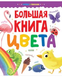 Большая книга. Цвета