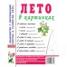 Лето в картинках. Наглядное пособие для педагогов, логопедов, воспитателей и родителей