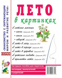 Лето в картинках. Наглядное пособие для педагогов, логопедов, воспитателей и родителей