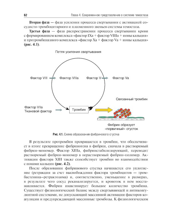 Гематология в терапевтической стоматологии: учебник