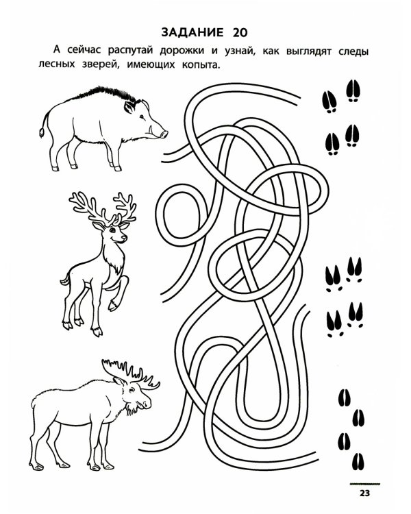 Лесные ходилки-бродилки: развиваем зрительно-моторную координацию: 4+. 2-е изд