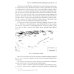 История происхождения многонационального народа российского: В 4 т. Т. 3 История происхождения многонационального народа российского: В 4 т. Т. 3