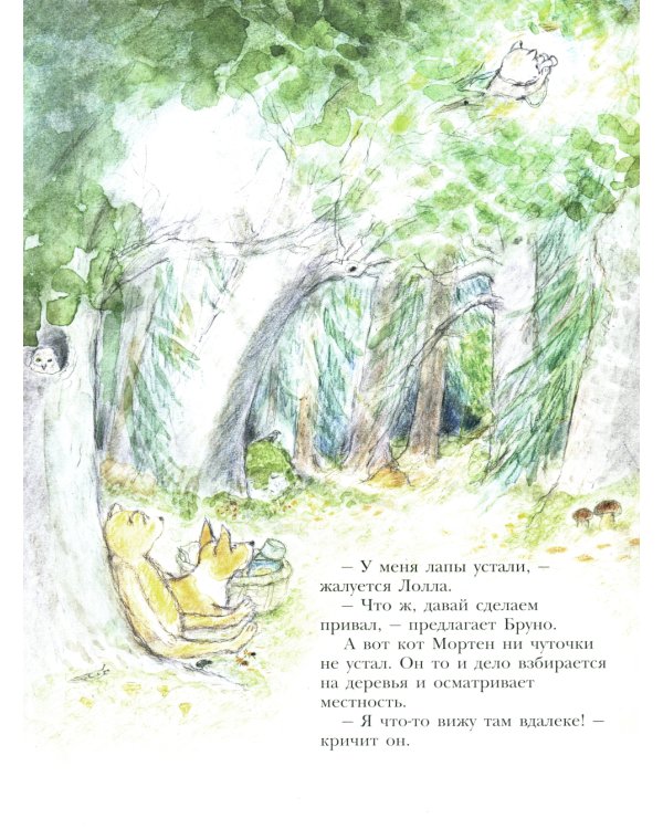 Мишка Бруно летит на Луну: книжка-картинка