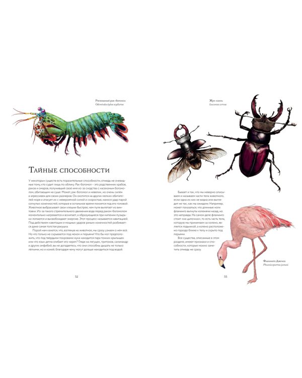 Тайны дикой природы