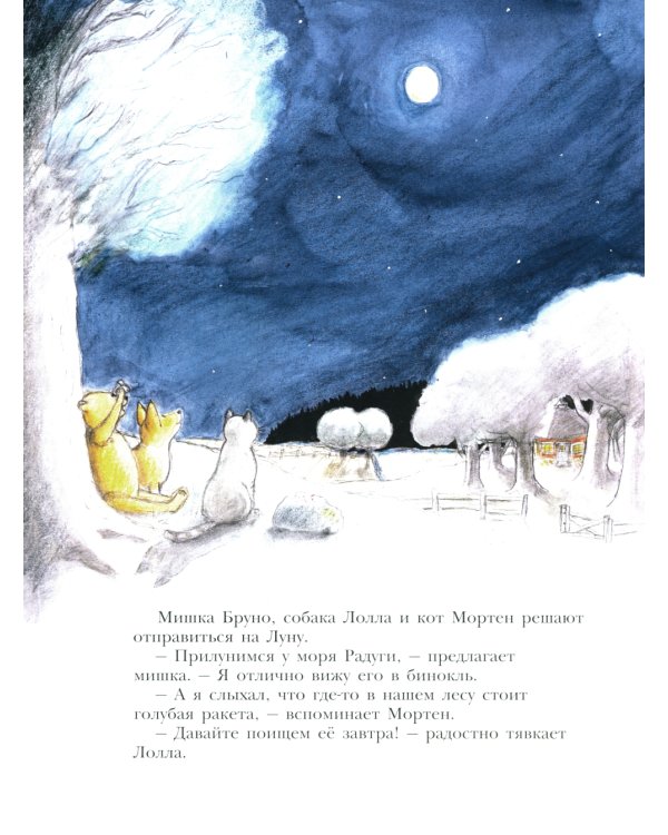 Мишка Бруно летит на Луну: книжка-картинка