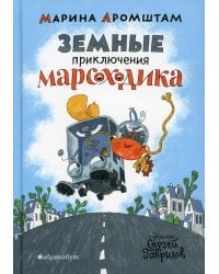 Земные приключения Марсоходика