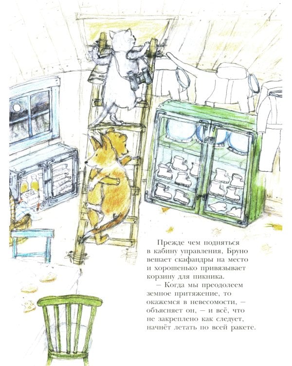 Мишка Бруно летит на Луну: книжка-картинка