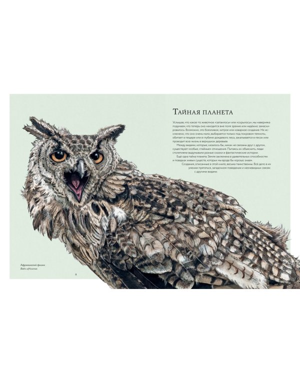 Тайны дикой природы