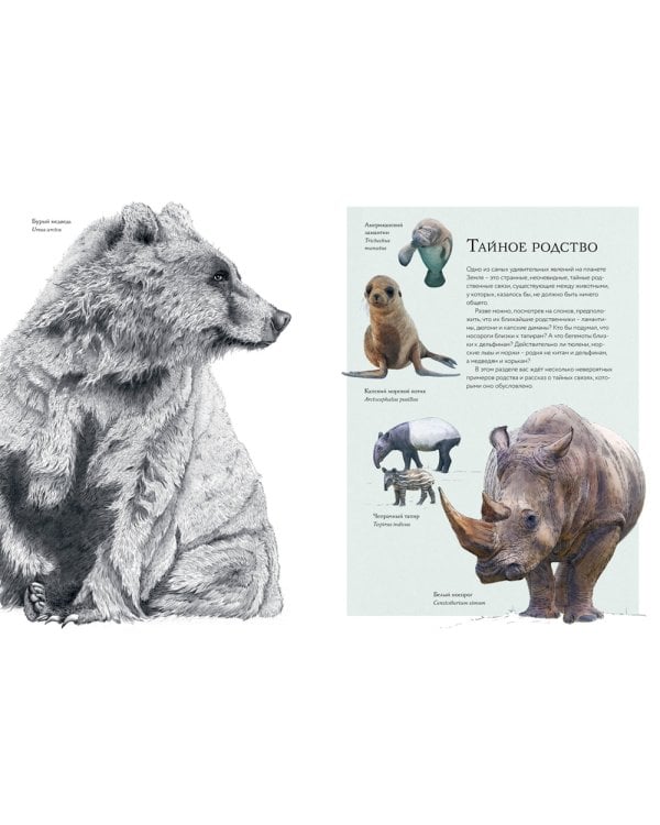 Тайны дикой природы