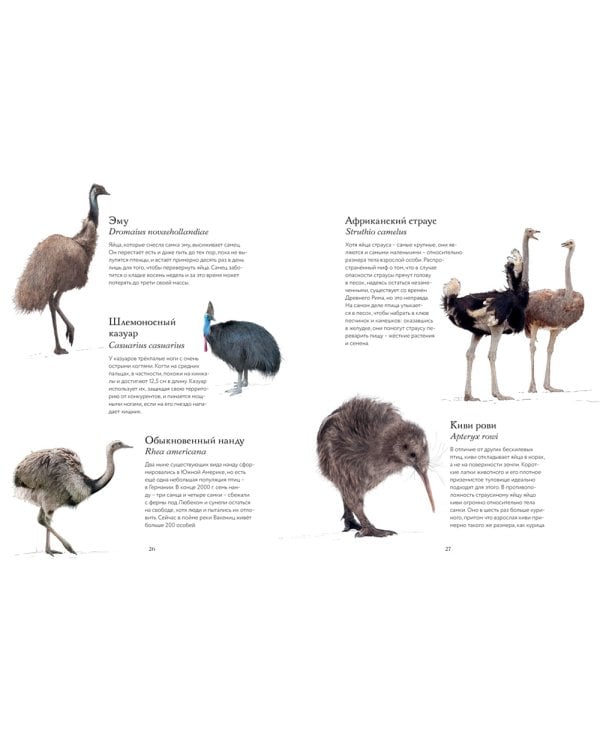 Тайны дикой природы