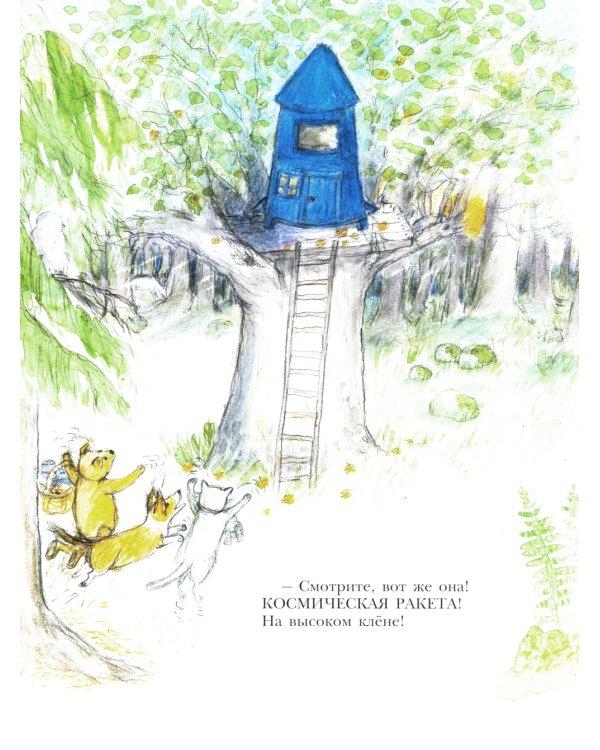 Мишка Бруно летит на Луну: книжка-картинка