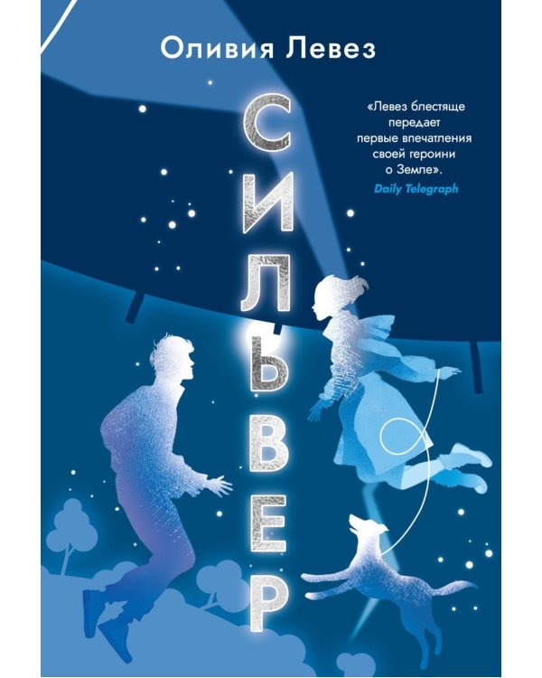 Сильвер: роман