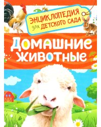Домашние животные