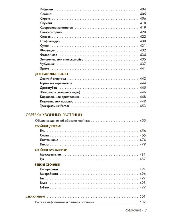 Обрезка плодовых и декоративных деревьев и кустарников