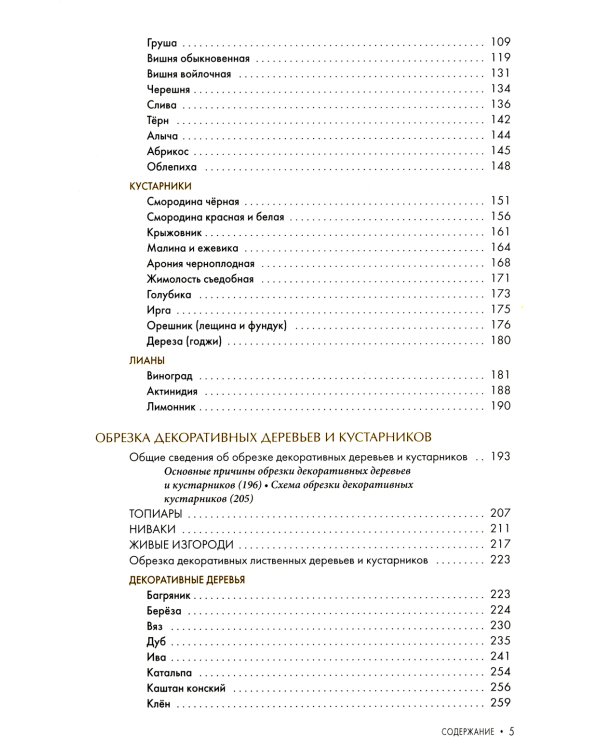 Обрезка плодовых и декоративных деревьев и кустарников