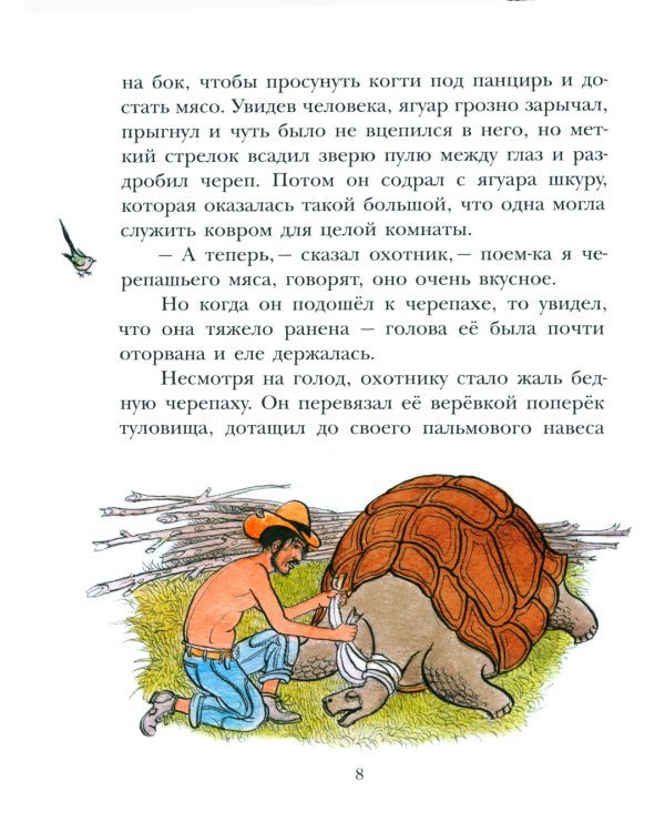 На берегах Ябебири