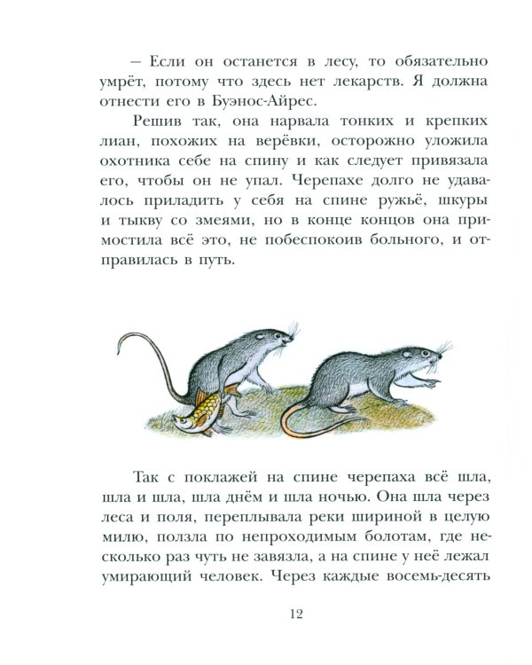 На берегах Ябебири