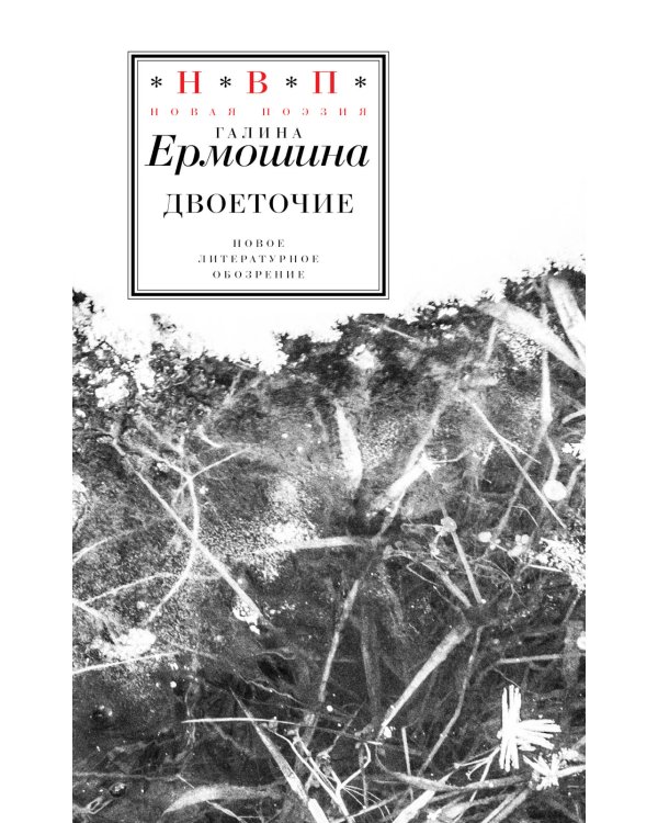 Двоеточие
