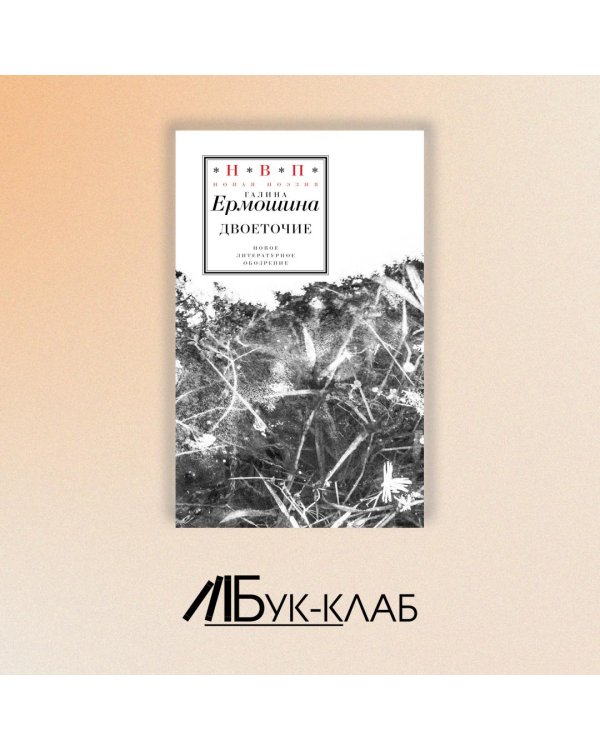 Дополнительное изображение книги «Двоеточие»