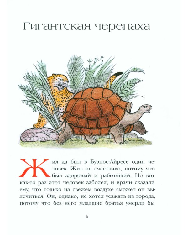 На берегах Ябебири
