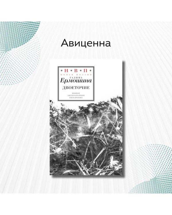 Дополнительное изображение книги «Двоеточие»